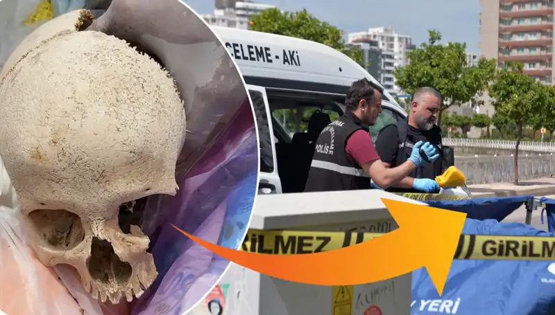 Sitenin Çöpünden Çıkan Kafatasının Gizemi: Uzman Doktora Gözaltı!