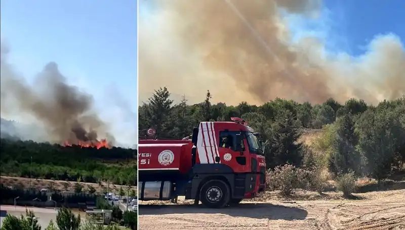 Gebze’de Korkutan Orman Yangını: İtfaiye Ekipleri Seferber Oldu