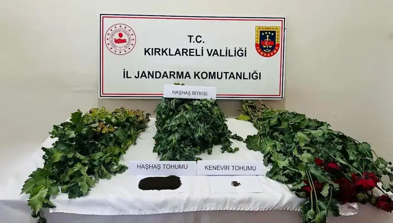 Kırklareli'nde Uyuşturucu Operasyonu: 8 Gözaltı, Yüzde Yüz Başarı!