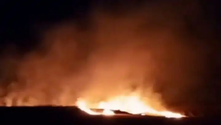 Tekirdağ'da 20 Dekar Buğday Alanı Yangında Kül Oldu: Üretici Çaresiz Kaldı