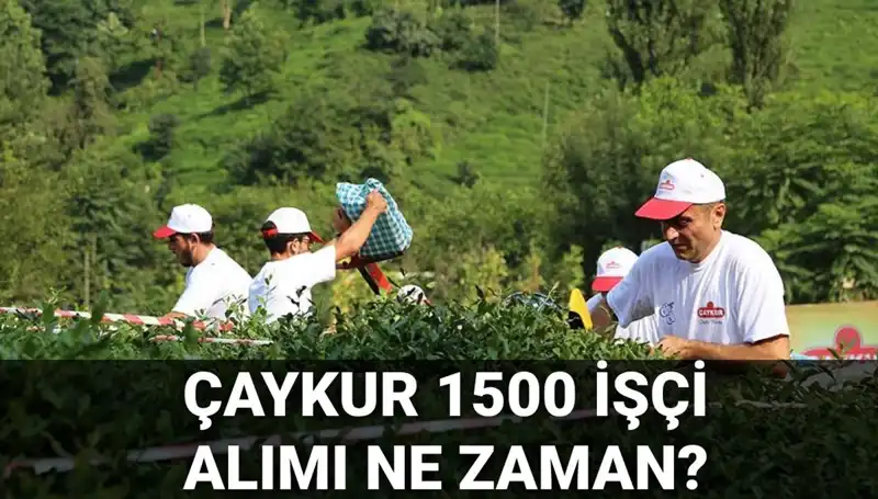 Çaykur İşçi Alımı Başvuru Tarihleri Belli Oldu: İşte Tüm Detaylar!