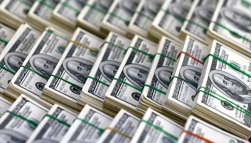 Dolar Yükselişine Dikkat! Uzmanlardan Korkutan Tahminler Geldi