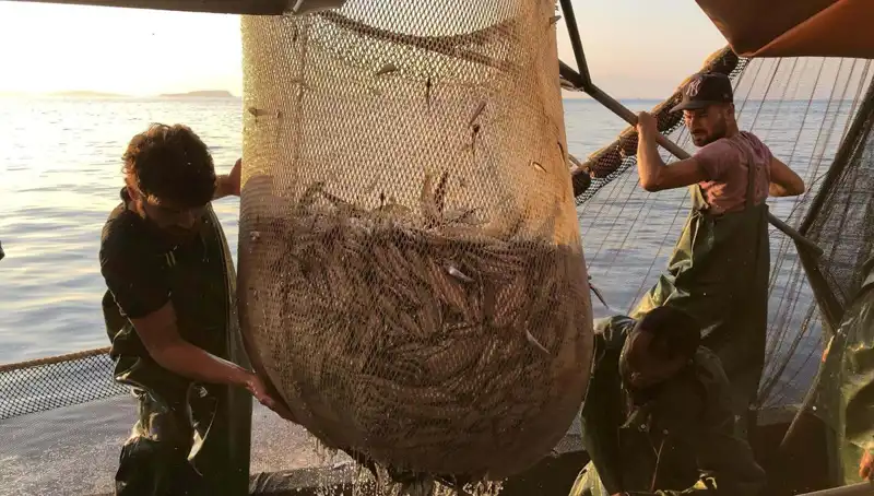 Balıkçılar Neden Paydos Ediyor? İhlal Ceza Oranı Yüzde 300 Arttı