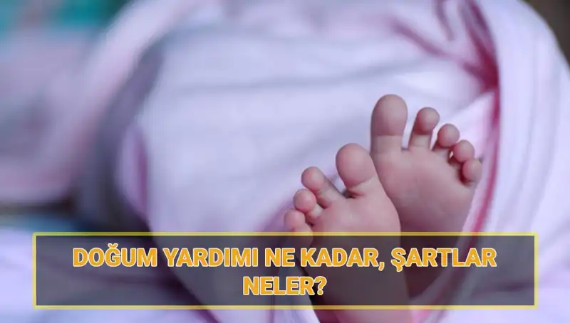 2025 Doğum Yardımında Son Gelişmeler: Başvurular Başladı, Şartlar Neler?