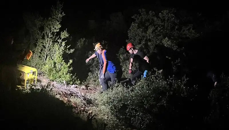 Define Peşinde Ölüme Giden Yol: Kazı Hayatlarını Nasıl Aldı?