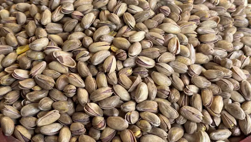 Yılın İlk Çeyreğinde Fıstık İhracatında Rekor Artış