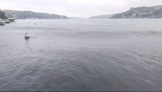 İstanbul’u Sarsan Deprem: Denizde Dalgalar Yükseldi, Vatandaşlar Panik İçinde