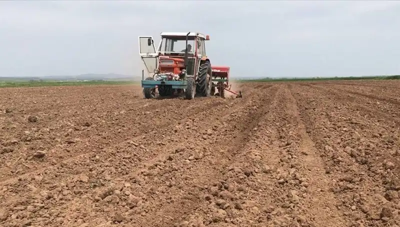 Son 35 Yılın En Kurak Mart Ayı Yaşandı: Yağış Miktarı Yüzde 59 Düşüş Gösterdi
