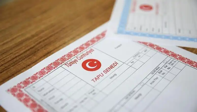 100 Milyonluk Hisseli Tapu Tuzağı: Gerçekler ve Yalanlar