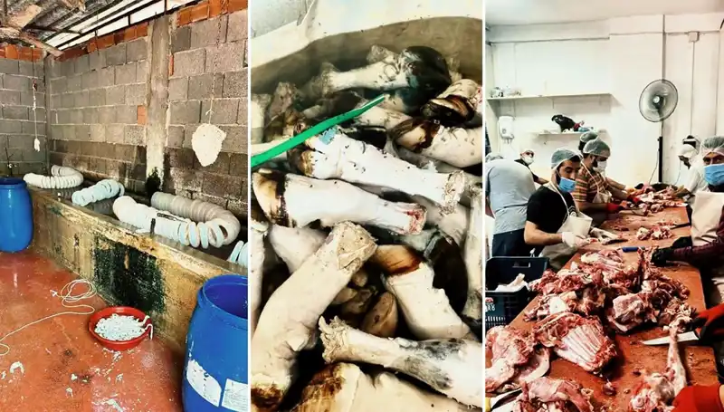 Adana'da Yüzlerce Kilo Paça Ele Geçirildi: Bu Rezil Görüntüler Şok Etti!