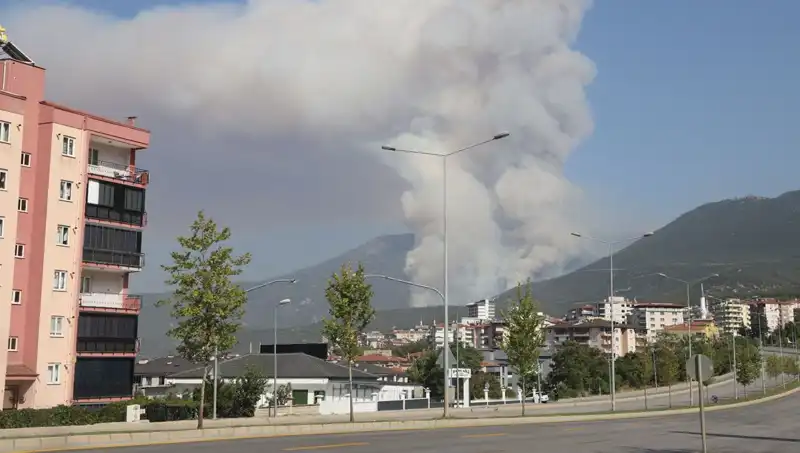 Denizli'de Orman Yangını Çıktı: Bir Şüpheli Gözaltında!