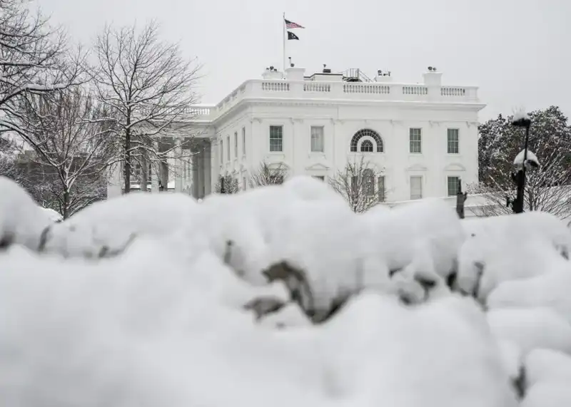 ABD'nin Başkenti Washington'da Kar Fırtınası Alarmı: Acil Durum İlan Edildi