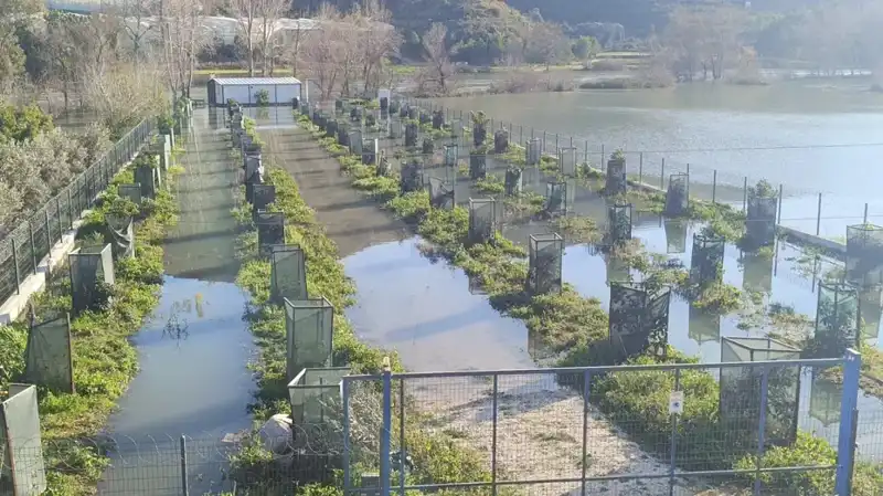 Irmak Taştı: Otoyol Şantiyesi İçin Alarm Zamanı