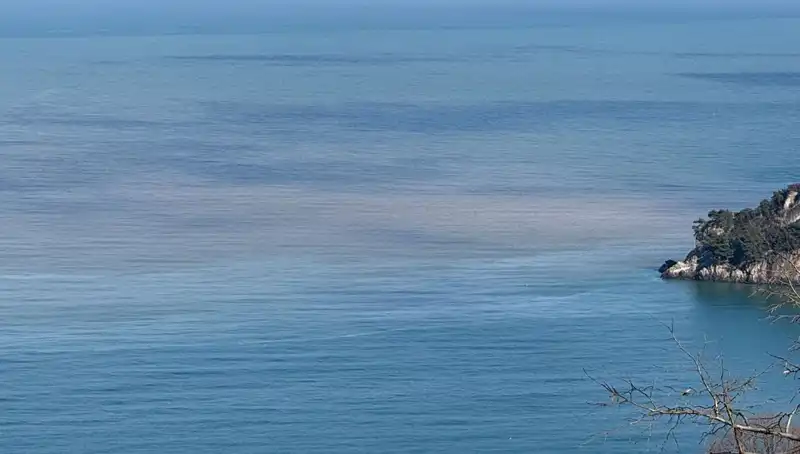 Bartın Irmağı: Çamurlu Su Deniz Rengini Değiştirdi, Halk Şokta!