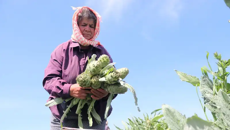 Tarladan Sofralara: Pahalı Yöresel Ürünlerin Bilinmeyen Hikayesi
