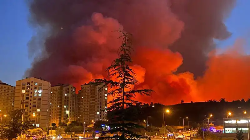 Bursa'da Korkutan Yangınlar: Şehir Alev Alev Alevleniyor