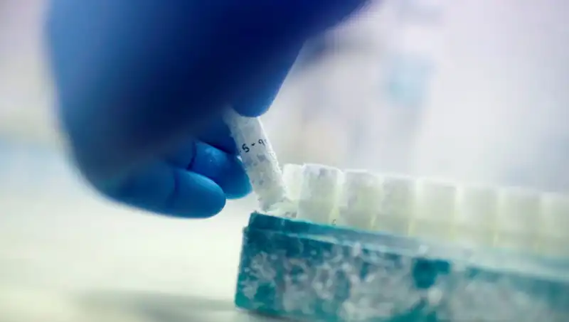 Tıbbi Felaket: 85 Sperm Donörü Binlerce Çocuğa Baba Oldu!