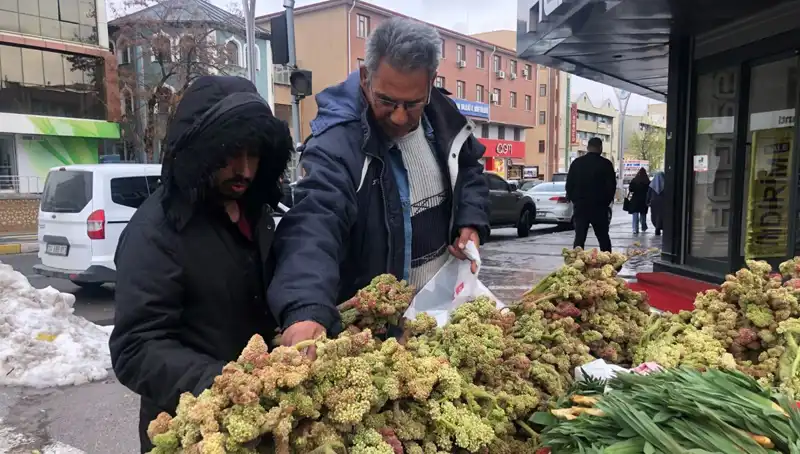 Kendiliğinden Yetişen Şifa: Kanserle Savaşan Doğal Vitamin Deposunu Keşfedin!