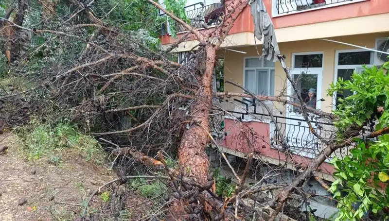 Yağmur, Güçlü Bina Yapısını Yerle Bir Etti: Olayın Detayları