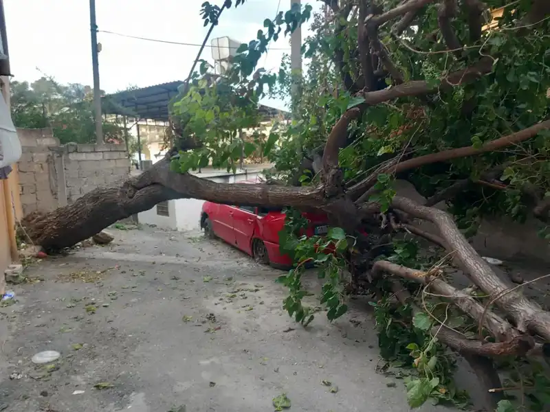 Hatay'da Şiddetli Fırtına, Ağaçları Devirip Çatılar Uçurdu